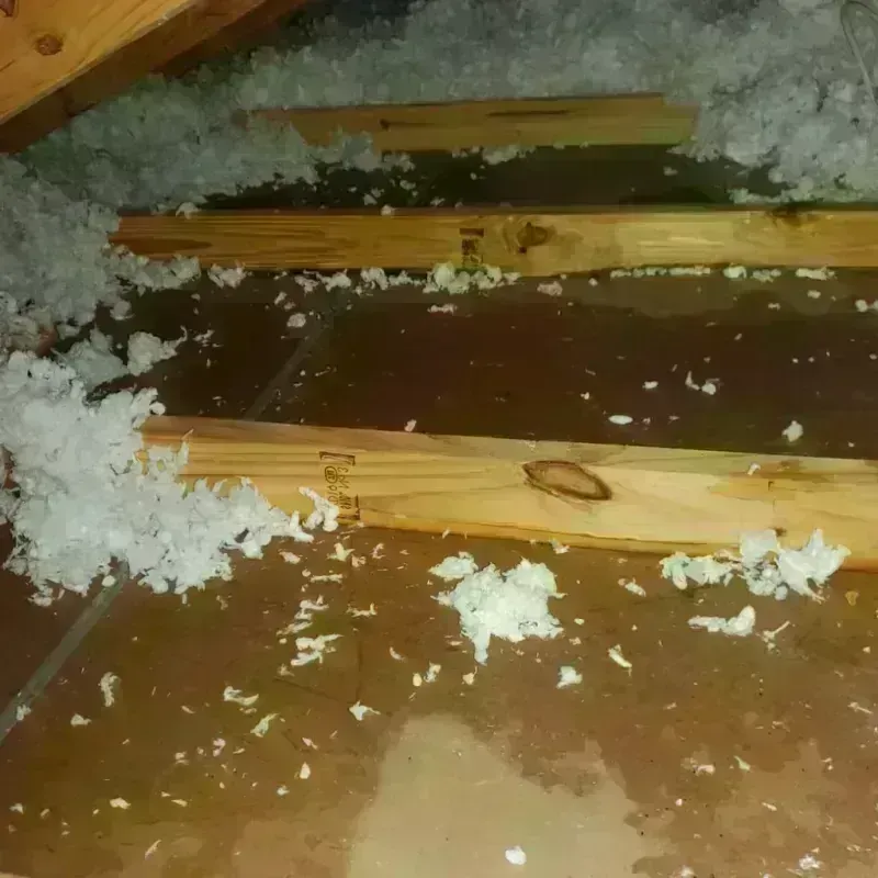 Attic Water Damage in Tavernier, FL